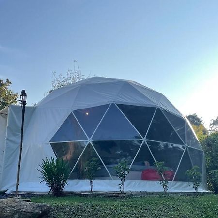 Panipa Organic Farm And Glamping Pak Chong Exterior foto